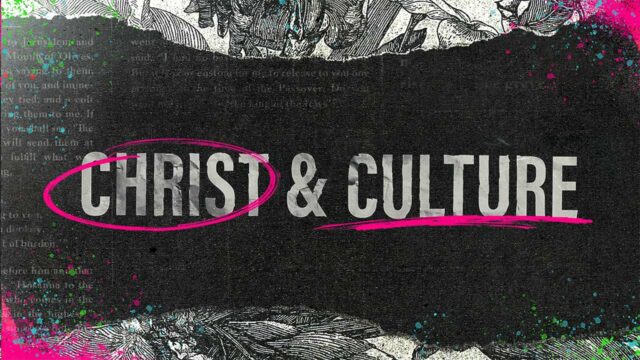 Christ and Culture, Part 5: One Diverse Human Race